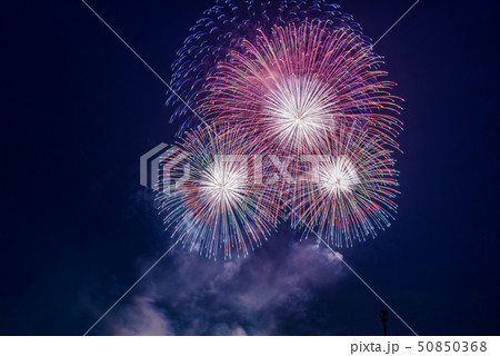 大曲の花火春の章 50850368