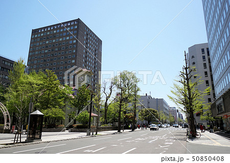 札幌　時計台前通り風景（西3丁目通　北1条西2丁目） 50850408