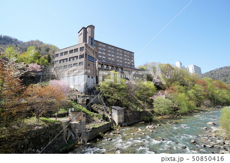 定山渓温泉　桜と新緑の風景 50850416