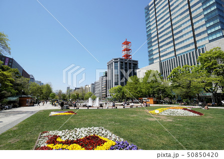 札幌　大通公園風景（大通西3丁目周辺） 50850420