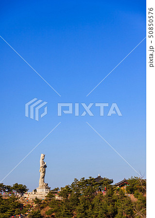 仏教 洛山寺 旅行 50850576