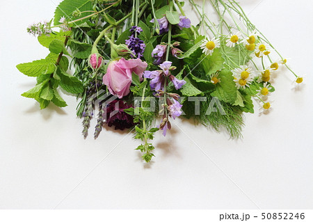 香りの花束 香りの花束 50852246