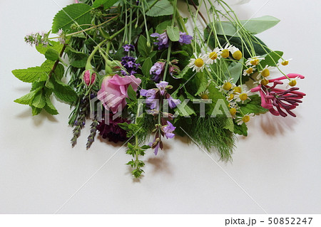 香りの花束 香りの花束 50852247
