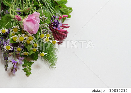 香りの花束 香りの花束 50852252