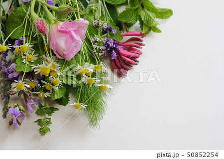 香りの花束 香りの花束 50852254
