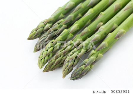 アスパラ アスパラ 50852931