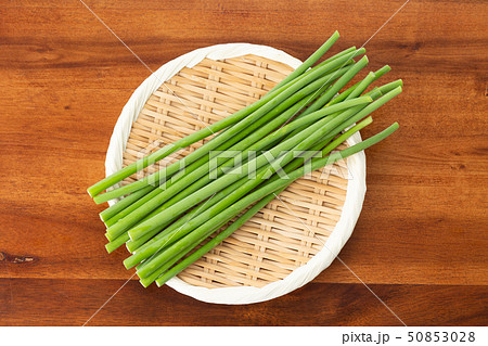 ニンニクの芽 50853028
