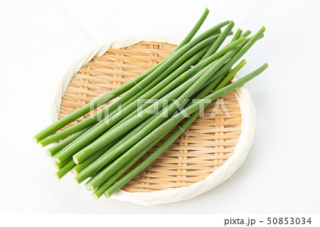 ニンニクの芽 50853034