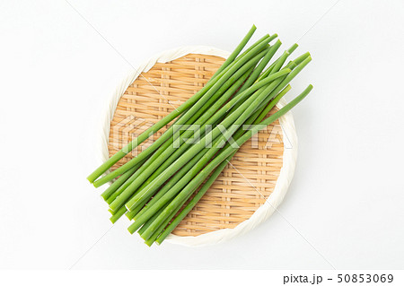 ニンニクの芽 50853069