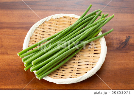 ニンニクの芽 50853072