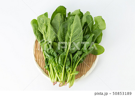 ほうれん草 ほうれん草 50853189