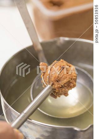 【味噌汁　料理】 50853936
