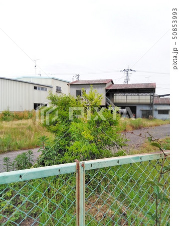 工場跡地(5) 50853993