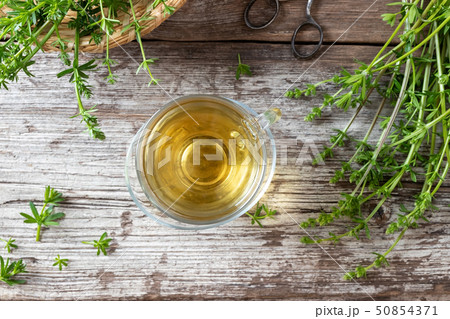 A cup of herbal tea with fresh bedstraw, top view 50854371