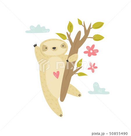 Cute funny sloth hanging on the tree in rainforest 50855490