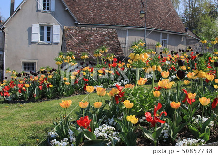 アンボワーズ市街地 50857738