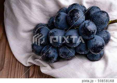 ブドウ　ナガノパープル　贈り物 50858168