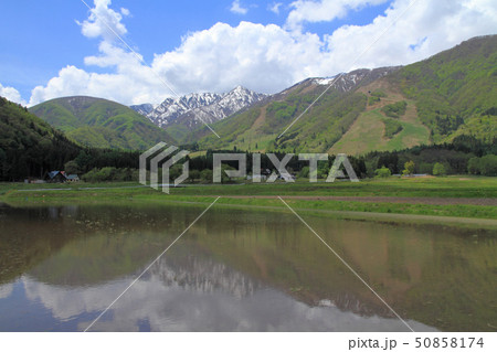 白馬村の5月 50858174