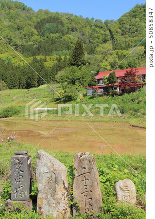 信州小谷の山里 信州小谷の山里 50858347