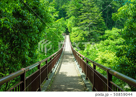 秋川渓谷 新緑の石舟橋 秋川渓谷 新緑の石舟橋 50859044