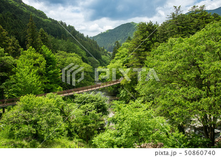 秋川渓谷 新緑の石舟橋 秋川渓谷 新緑の石舟橋 50860740