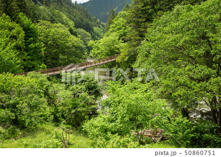 秋川渓谷 新緑の石舟橋 50860751