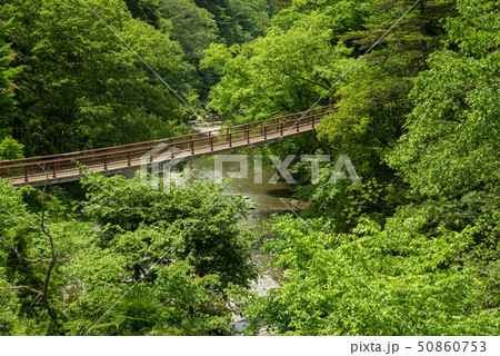 秋川渓谷 新緑の石舟橋 秋川渓谷 新緑の石舟橋 50860753