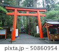 鳥居 50860954