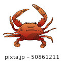 カニ 50861211