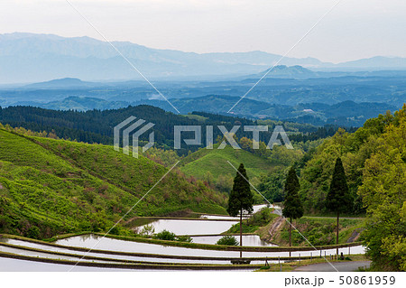 棚田 棚田 50861959