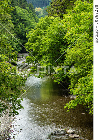 秋川渓谷の新緑 石舟橋から 秋川渓谷の新緑 石舟橋から 50862288