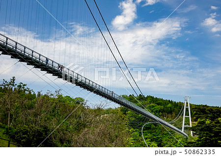 新緑の九重夢大吊橋 新緑の九重夢大吊橋 50862335