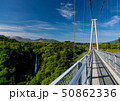 新緑の九重夢大吊橋 50862336