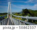 新緑の九重夢大吊橋 50862337