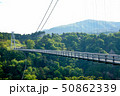 新緑の九重夢大吊橋 50862339