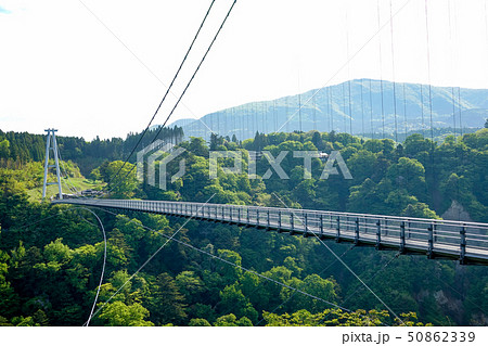 新緑の九重夢大吊橋 新緑の九重夢大吊橋 50862339
