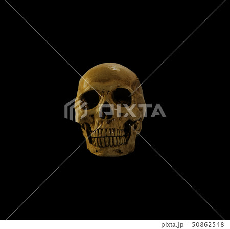 skull in the dark 50862548