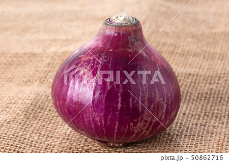 レッドオニオン 50862716