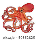 タコ 50862825
