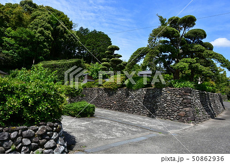 初夏の入来麓武家屋敷 50862936