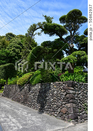 初夏の入来麓武家屋敷 50862937