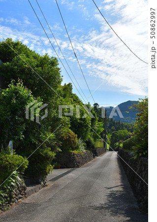 初夏の入来麓武家屋敷 50862997