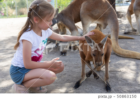 Girl feeds a kangaroo at the Australian Zoo Gan Guru in Kibbutz Nir David, in Israel 50863150