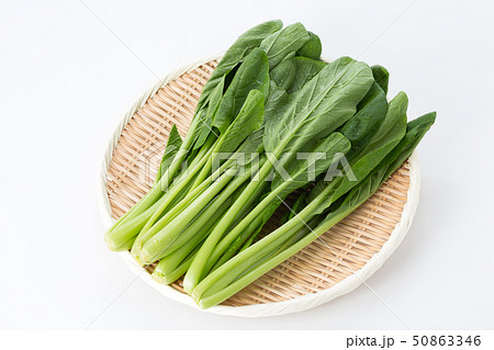 小松菜 小松菜 50863346