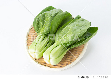 チンゲンサイ チンゲンサイ 50863348