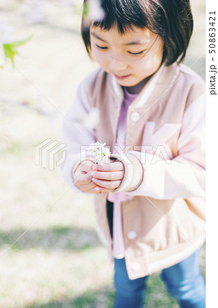 桜 春 女の子 桜 春 女の子 50863421
