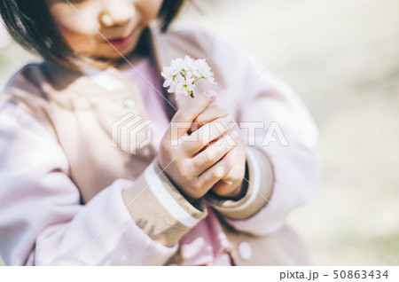 桜 春 女の子の写真素材