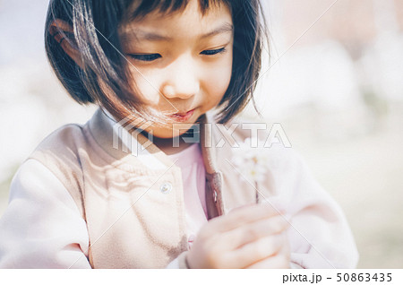 桜　春　女の子 50863435