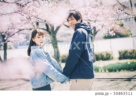 桜 春 カップル 夫婦の写真素材