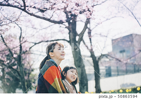 桜 春 親子 お花見 桜 春 親子 お花見 50863594